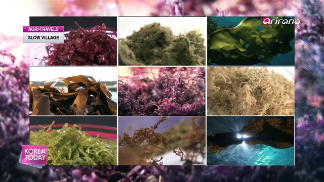 Korea Today Ep700C2 Life at Slow Village on Cheongsan-do Island