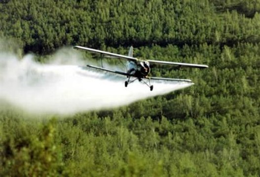 CALIFORNIA WANTS TO PUNISH THE NO GMO MOVEMENT AND SPRAY ALL ORGANIC CROPS WITH PESTICIDES.