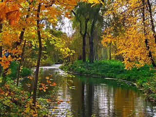 Тонкая рябина - Поёт Юлия Боголепова