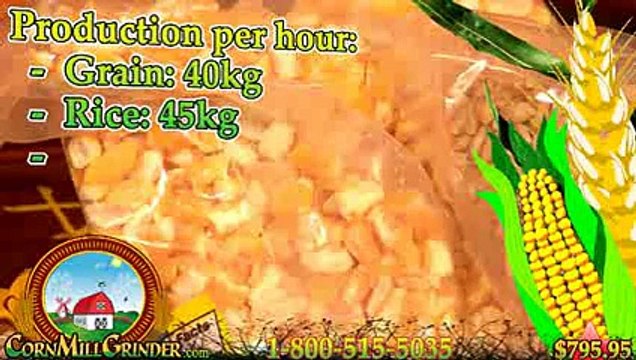 Corn Mill Grinder - Perfect Industrial Tool for Storing and Grinding Grains! 1.800.515.5035