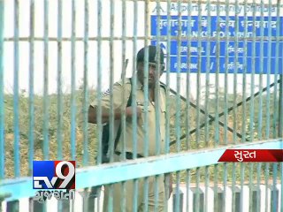 Yet, No lesson from 'Buffalo on Runway' incident, Surat - Tv9 Gujarati