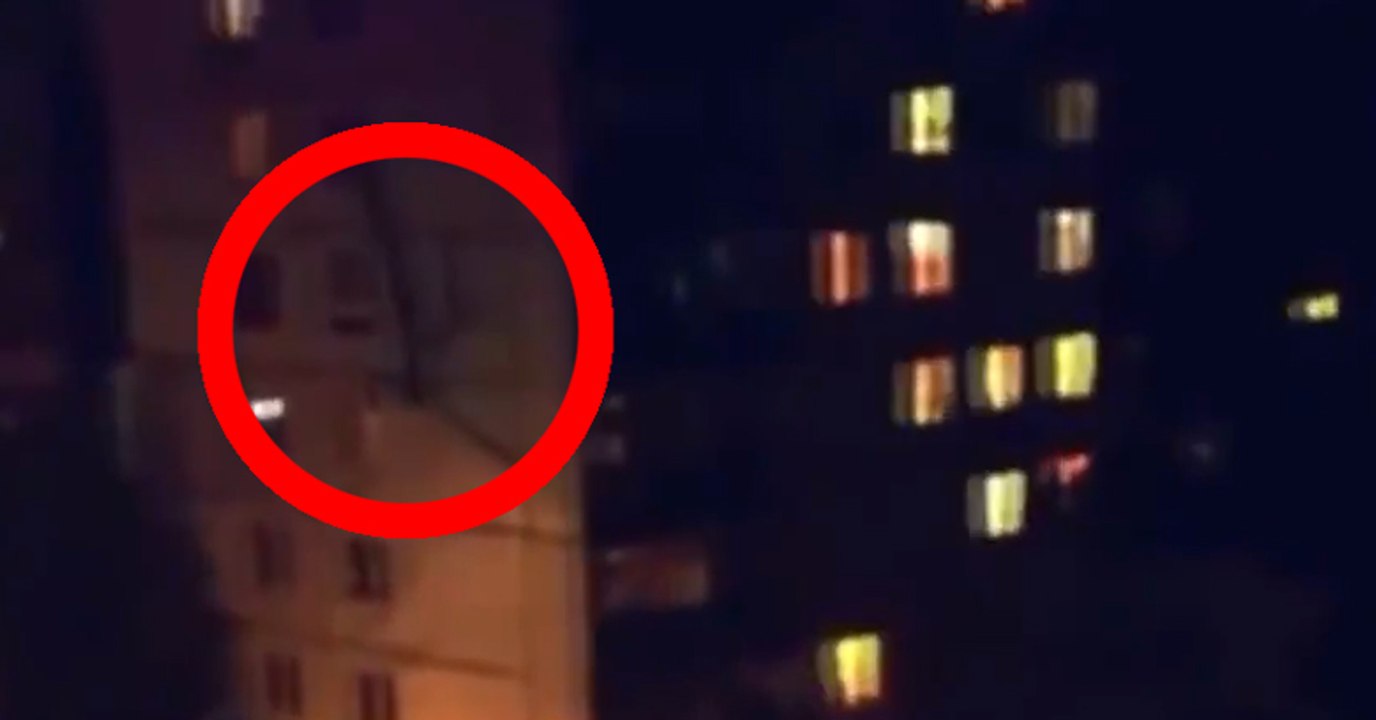 Strange Creature Caught On Camera!