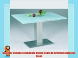 Chintaly Tatiana Extendable Dining Table in Brushed Stainless Steel