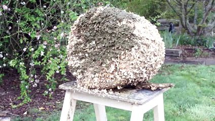 Karakovan Kütüğünün Hayvan Gübresi İle Sıvanması