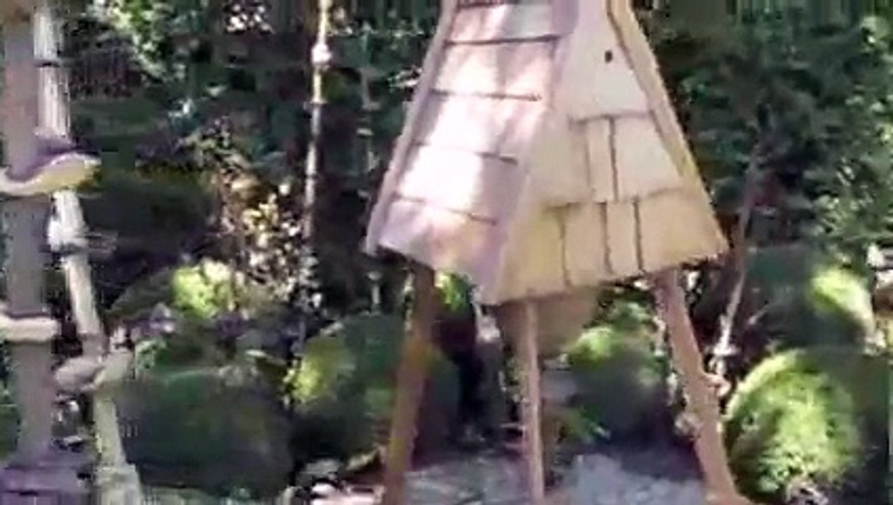 Karakovan İle Kavanoza Bal Yaptırılması