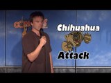 Stand Up Comedy by Eddie Pence - Chihuahua Attack!