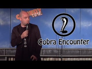 Stand Up Comedy by Matthew Davis - Cobra Encounter!