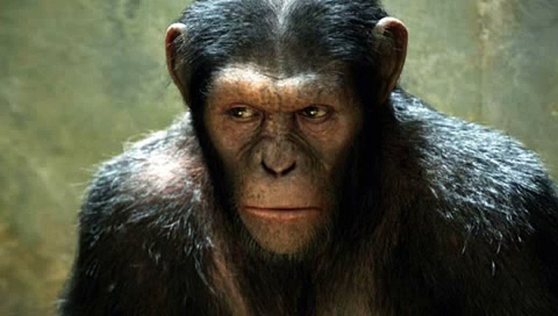 Rise of the planet of the apes full movie in hindi online hotsell