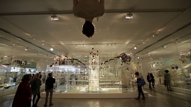 Présentation de l'Exposition David Altmejd -Flux | Musée d'art moderne de la Ville de Paris