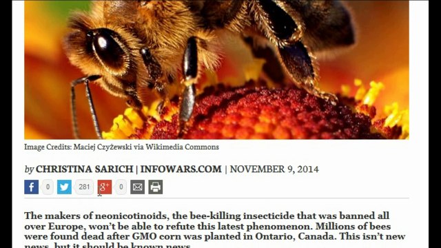 ALEX JONES INFOWARS IS BEING BLOCKED ON FACEBOOK AND GOOGLE+