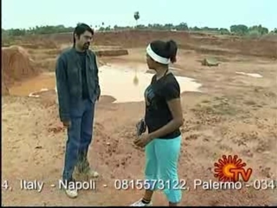 ARASI 036