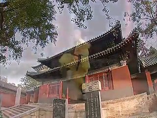 Shaolin Kung Fu (exploding the meat myth)