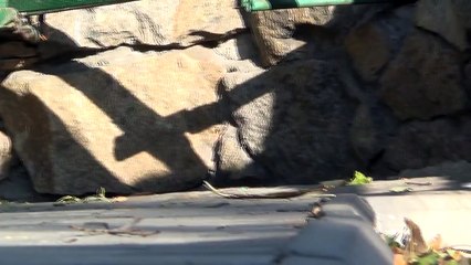 Велотриал 288