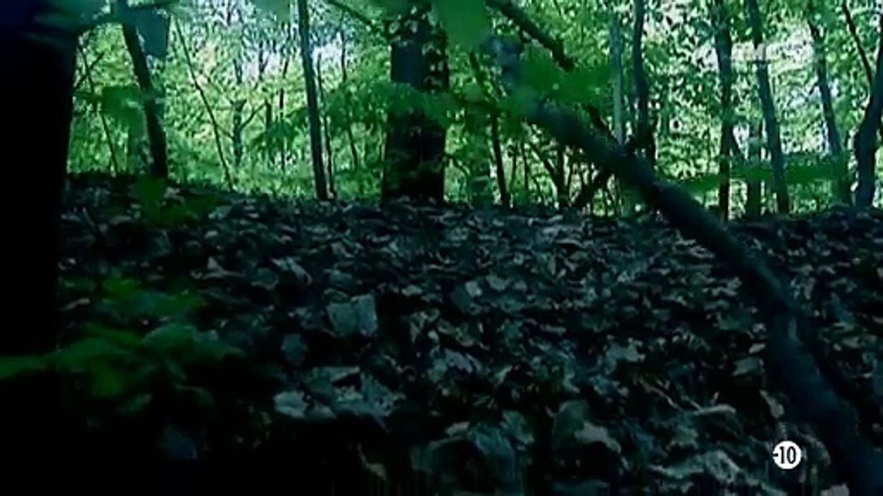 l'etrangleur de vienne