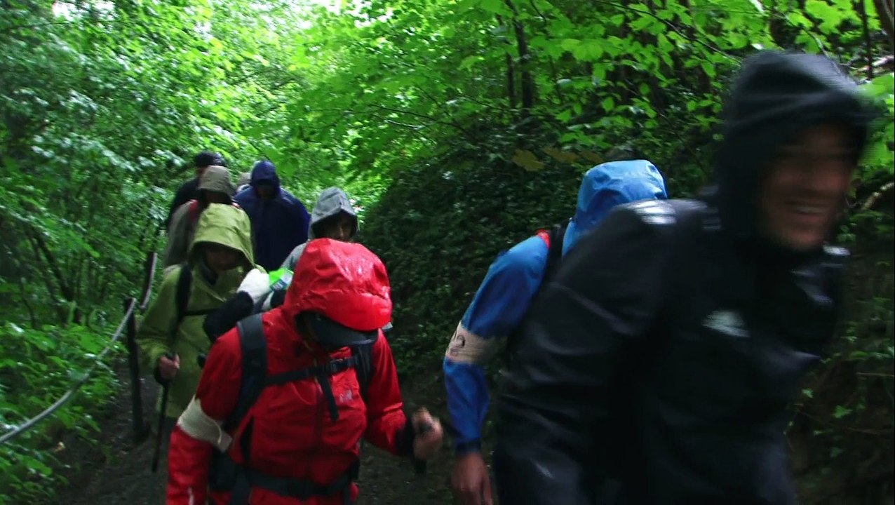 Pandathlon 2014 - Ecovadis