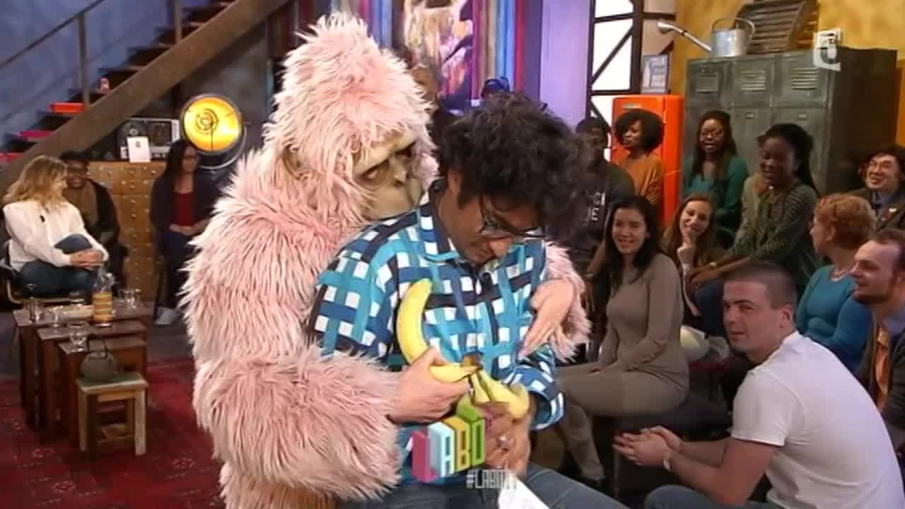 Un singe rose s'invite dans le Lab.Ô - 09/11/14 - Le Lab.Ô #LaboTV