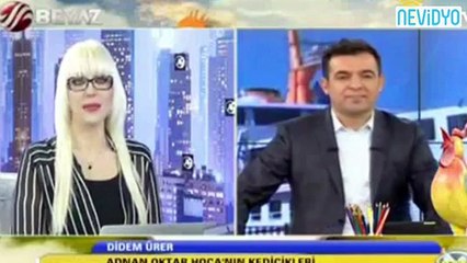 Kediciği terleten bikini sorusu