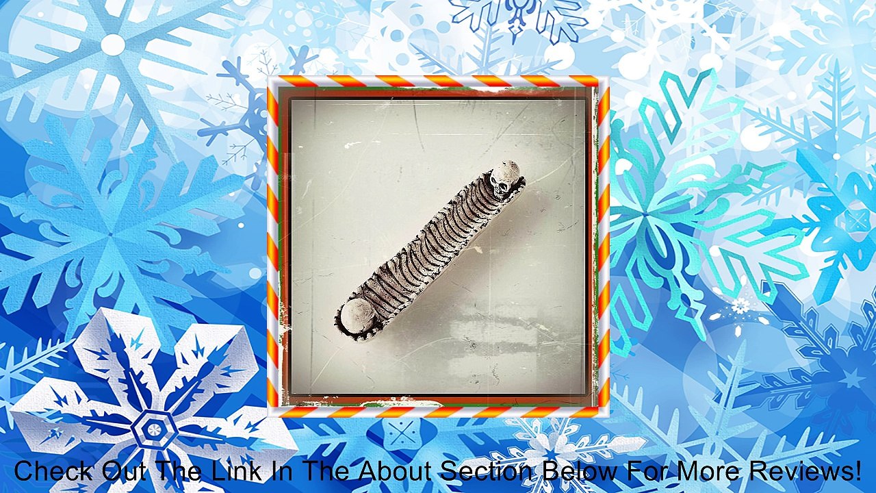 Halloween Skull & Bones Snack Plate Review