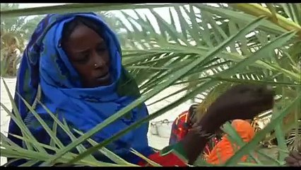 Vents de sable, femmes de roc (2011) - Trailer French subs