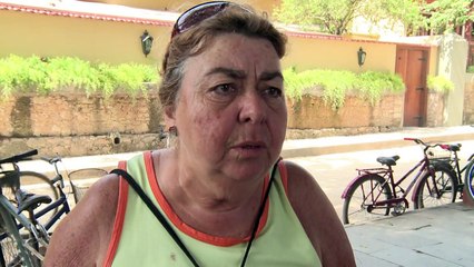 نفوق الاف الاسماك بشكل غامض في خليج ريو