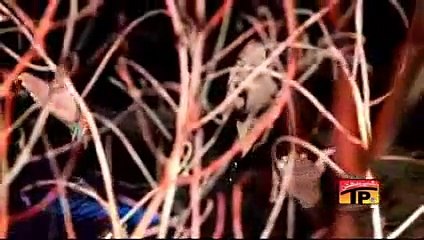 Syed Irfan Haider 2014 - AAHISTA CHALO