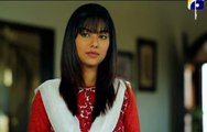 Rukhsati Episode 20 Full on Geo Tv - November 12