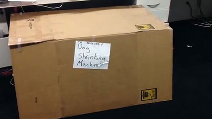 Une machine à rétrécir les chiens