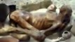 اللہ اکبر - فرعون کی لاش عبرت کا نشان - ویڈیو دیکھیں - Video Dailymotion