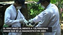 Las peores epidemias del mundo en los últimos tiempos - 15POST
