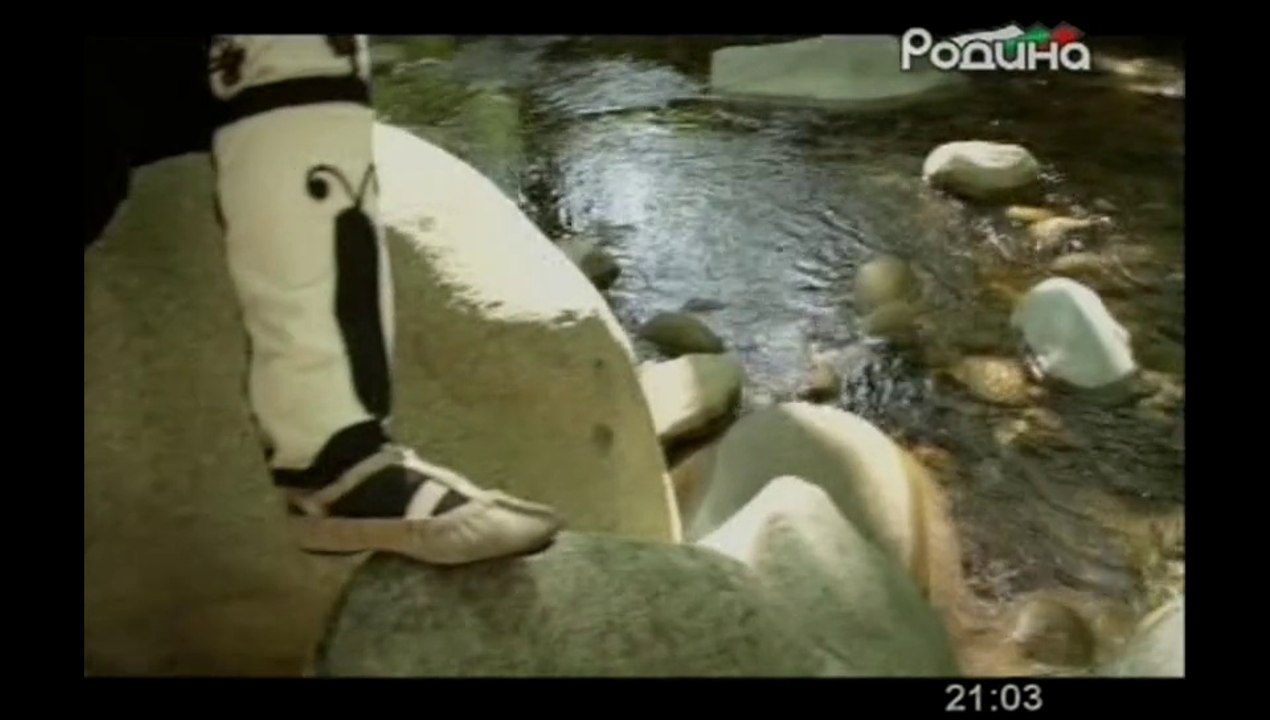 Карамфил Божиков - Стоян войвода