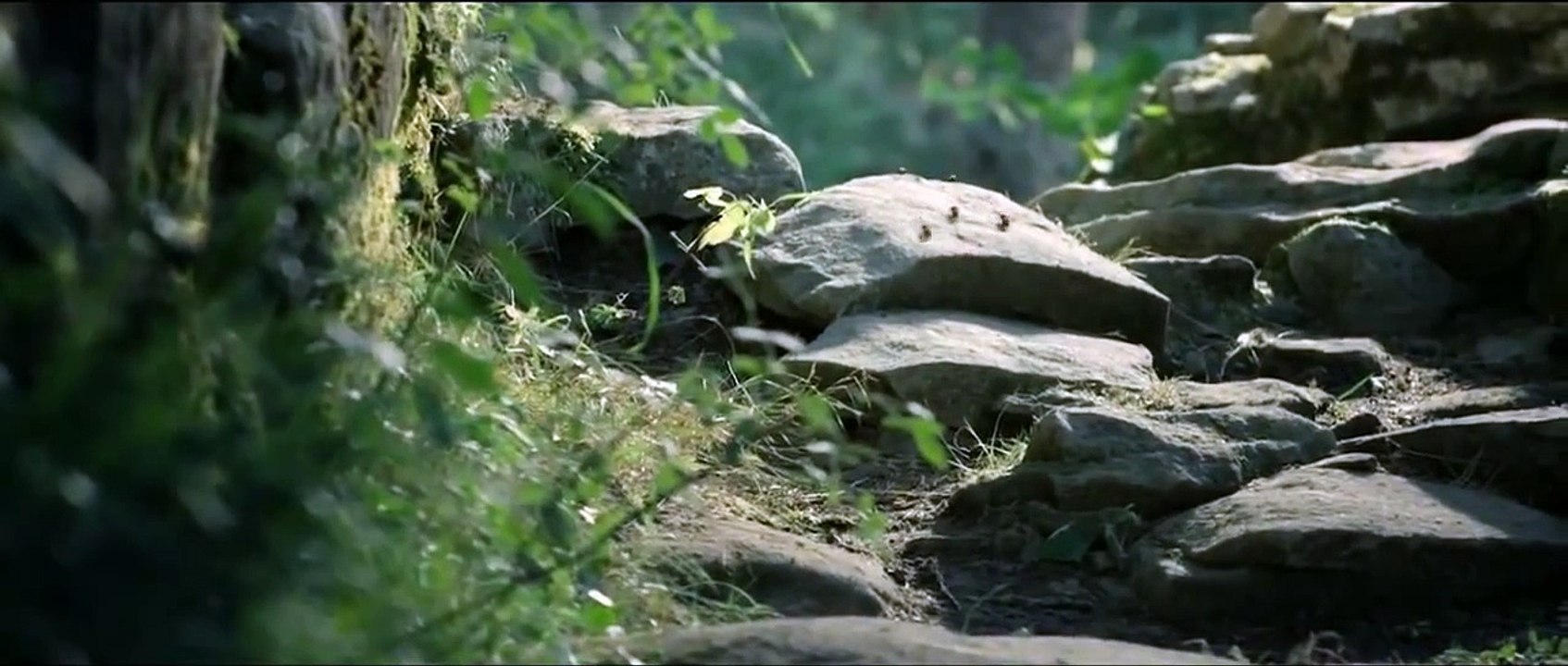 Minusculos - Trailer