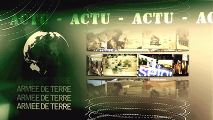 Démonstration de sauvetage au combat