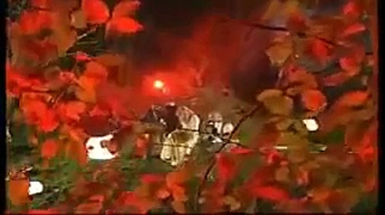 HOLD ME FOR A WHILE - REDNEX