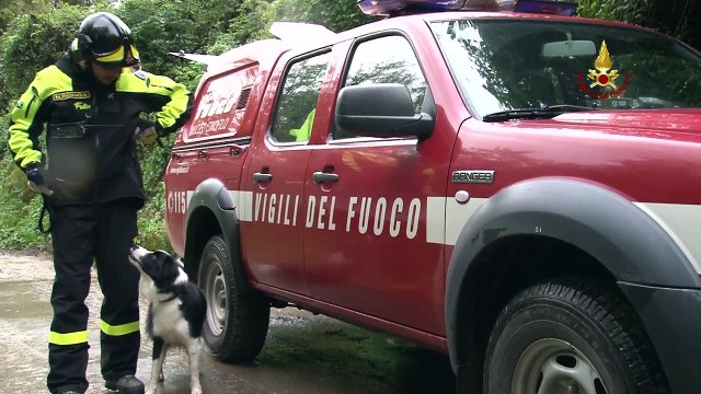 Lievi (GE) – Reparto cinofilo, i cani in cerca dei dispersi (13.11.14)