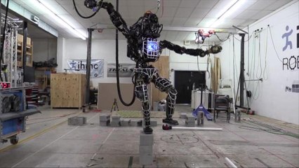 Robot Demonstrates Moves Right Out of 'The Karate Kid'