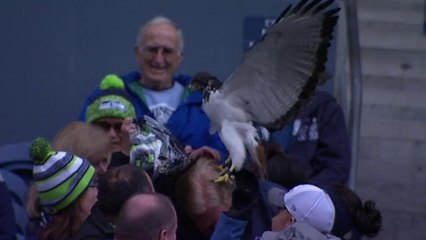 NFL NOW: Hawk finds odd landing spot