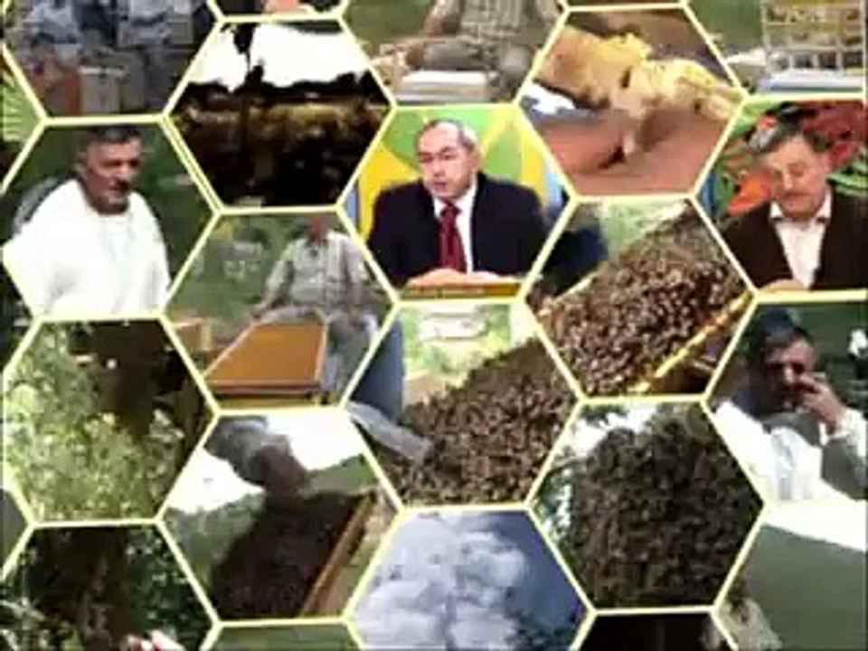 Arıcının günlüğü . bölüm