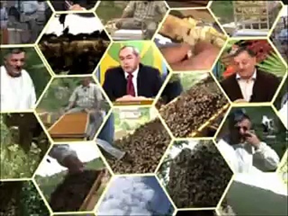 Arıcının günlüğü 1. bölüm