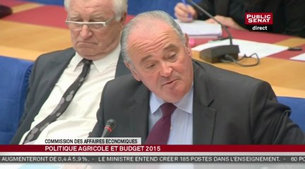 Stéphane Le Foll - Audition