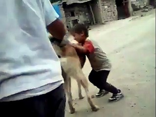 Köpekle hunharca oynayan çocuklar