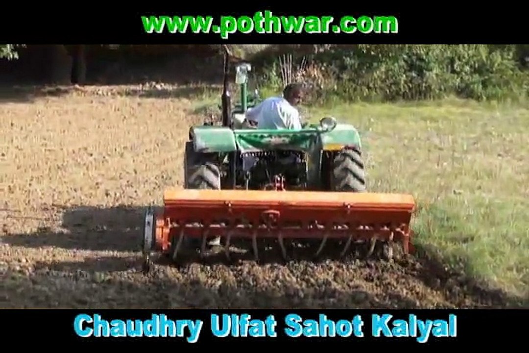 wheat crops