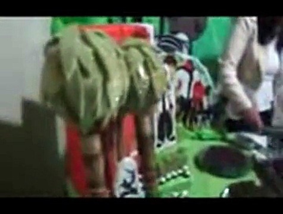 ETERNO SOBRINHO  ZEZE