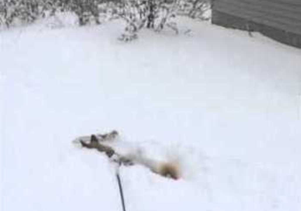 Snow Gives Takeo a Chance to Play