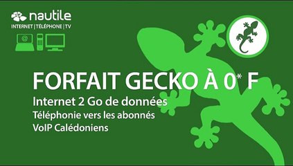 Forfait internet Triple Play en Nouvelle-Calédonie (teasing Océane 2.0 - Novembre 2014)