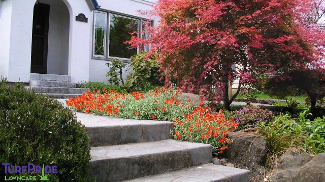 Better And Greener Lawns With Turf Pride