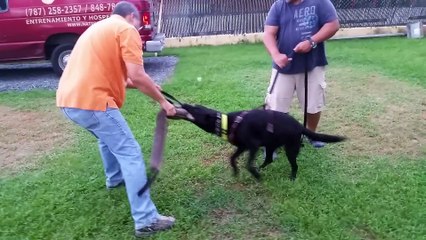 Freyja 20141103_174234