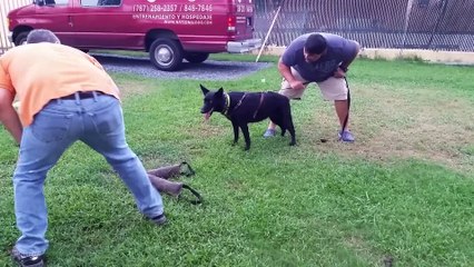 Freyja 20141103_174349