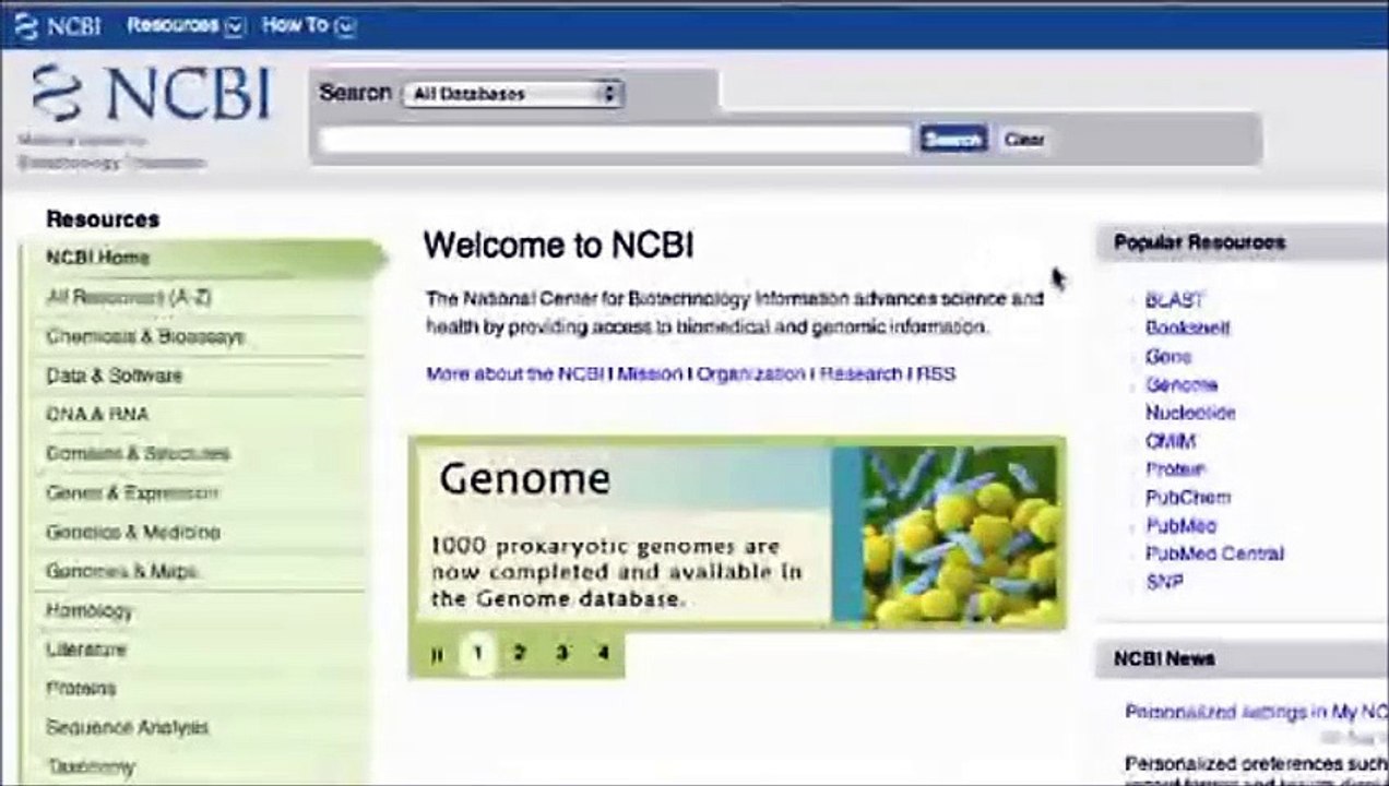 How to Use NCBI Blast