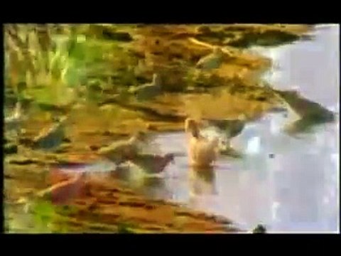 Beautiful Pakistan Television (PTV) Naat Sharif Balaghal Ula Be Kamalehi with subtitles