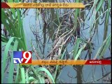 No stock of jaggery in Anakapalli Market as Hud Hud destroys sugarcane crop